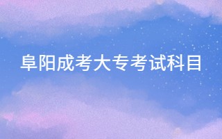 阜陽(yáng)成考大專考試科目
