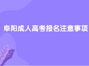 阜陽成人高考報(bào)名